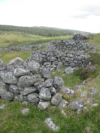 Ruins of the houses at Riechappel